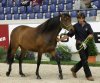 Yeora und David im Ring